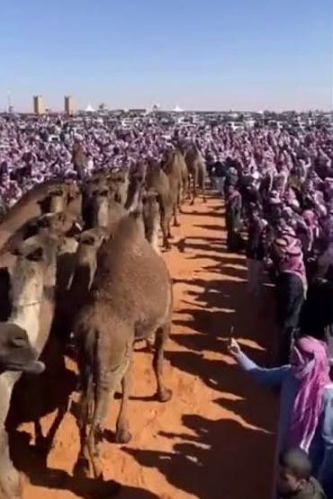 جماهير تحيط بفرديات لطامات أثناء المسيرة